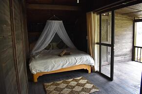 Lucky Daisy Buffalo House