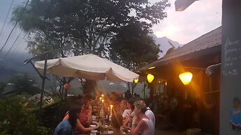 Lucky Daisy Buffalo House