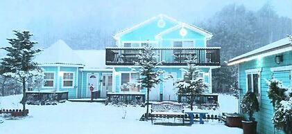 Green Castle Pension