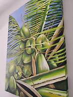 Los Cocos de Chacá Playa Progreso