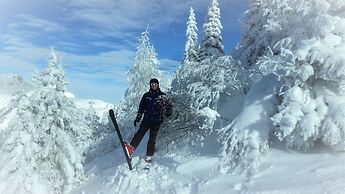 Pension Posauner Dorfgastein