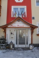 Pension Posauner Dorfgastein