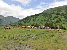 Pension Posauner Dorfgastein