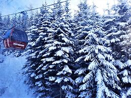 Pension Posauner Dorfgastein