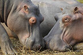 17 Manzini Holiday Resort