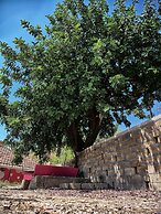 B&B Vento di Scirocco