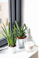 Central Belfast Apartments: Victoria