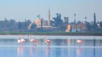 Hotel Indigo Larnaca by IHG