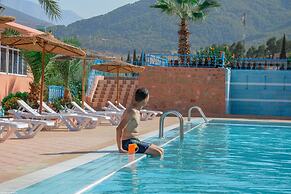 L'Oliveraie D'amizmiz