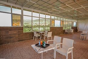 L'Oliveraie D'amizmiz