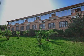 L'Oliveraie D'amizmiz