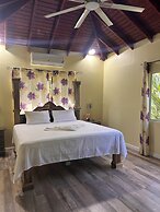 Yoga Dreams Negril