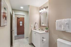 Gorgeous Condos Near French Quarter