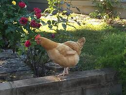 BellaVida B&B and Retreat