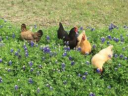 BellaVida B&B and Retreat