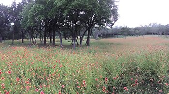 BellaVida B&B and Retreat