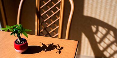 The Moana by DSH Resorts