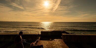 The Moana by DSH Resorts