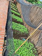 Mekong Daniel Bungalow