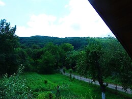 Guest House Family Green