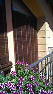 Apartamentos Rurales Millan
