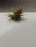 Mirador Ardea Mendixur