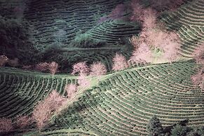 Greenland Sa Pa Hotel by DLMH