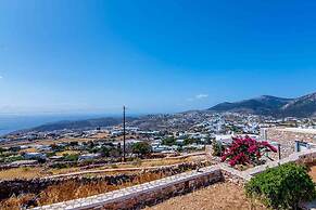 Spacious 2 Bedroom House with Fantastic Yard