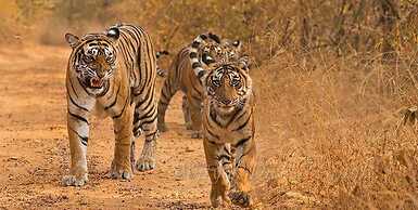 WelcomHeritage Tadoba Vanya Villas Resort & Spa