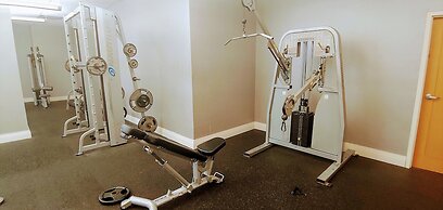 Beautiful Apartment in Hollywood Beach