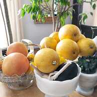 La Maison de Ville - bed & bistro