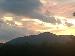 La Maison de Ville - bed & bistro