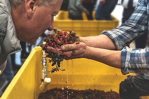 Gibbston Valley Lodge & Spa