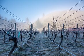 Gibbston Valley Lodge & Spa