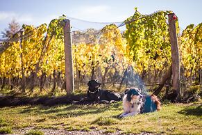 Gibbston Valley Lodge & Spa