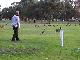Kalgan River Chalets and Caravan Park