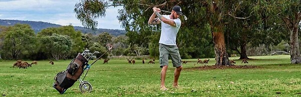 Kalgan River Chalets and Caravan Park