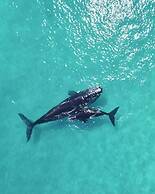 Kalgan River Chalets and Caravan Park