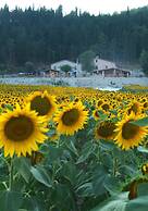 Agriturismo Il Casale