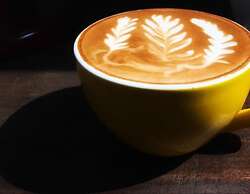 Only Cafe and Backpacker