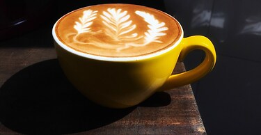 Only Cafe and Backpacker