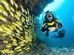 Saint Francis Resort