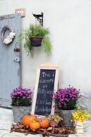 Tra i Campi Di Papaveri