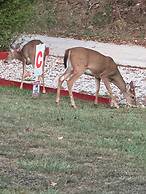 Log Cabin in the Field