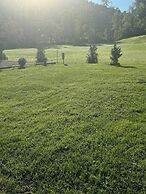 Log Cabin in the Field