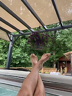 Log Cabin in the Field