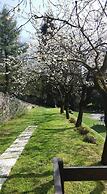 La Fattoria del Pino