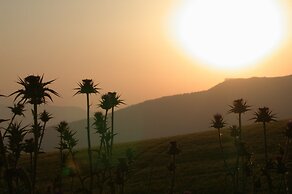 La Escuela del Campo