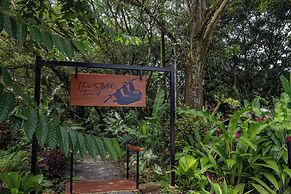 Noah's Forest by Tifakara