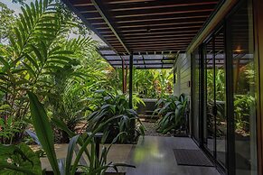 Noah's Forest by Tifakara